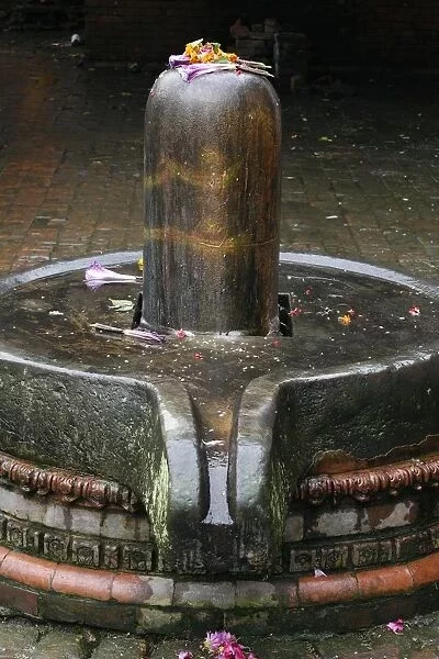 Pentru doamne, masaj gratuit